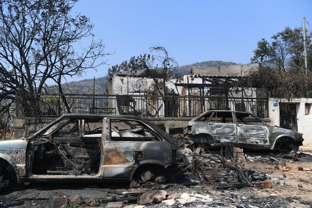 Meriç Bölgesi'nde yanan ormanlık alanda ceset bulundu - Resim: 13